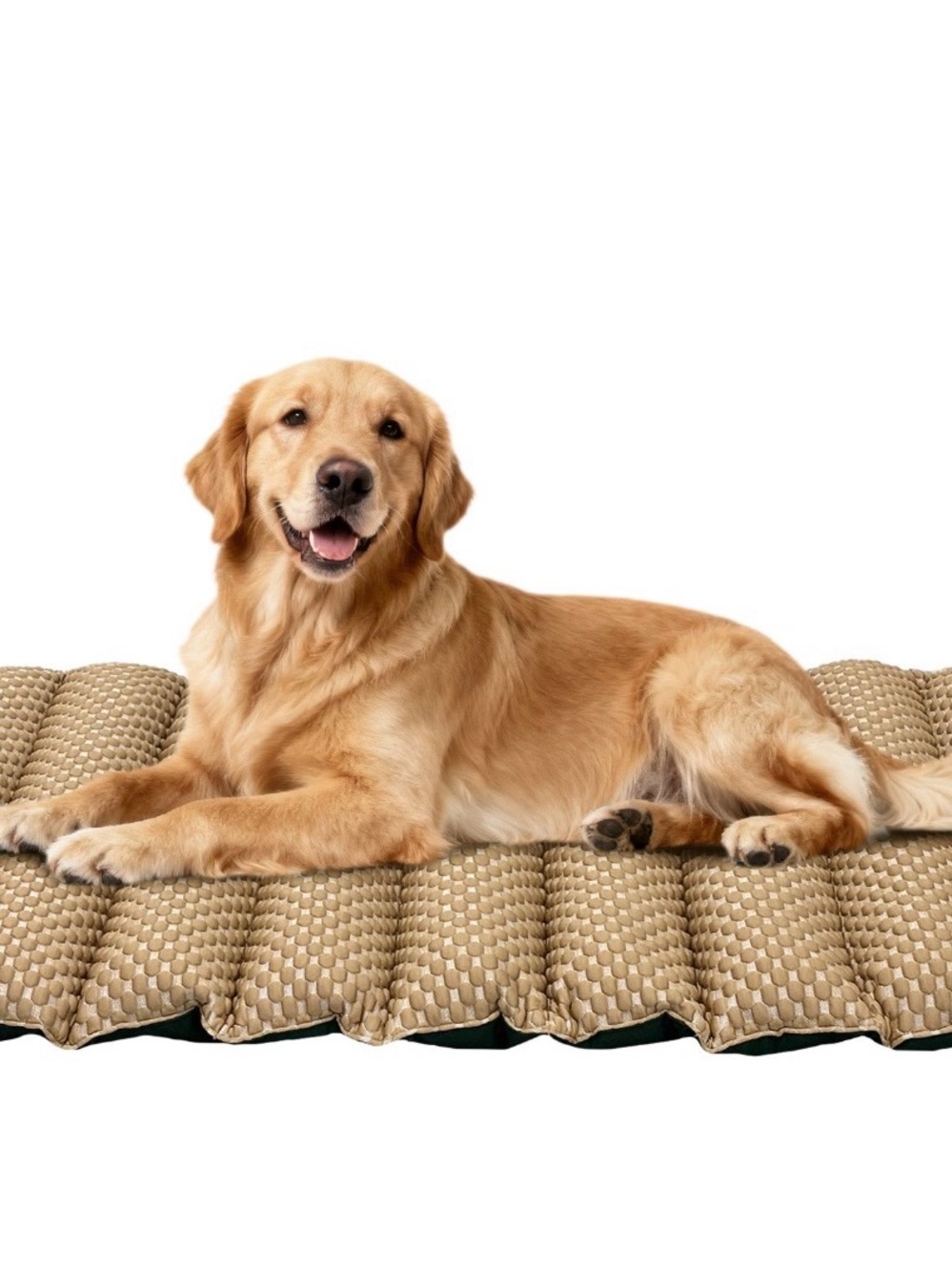 (6)Brentwoof  travel cooling Bed Mat for Pets